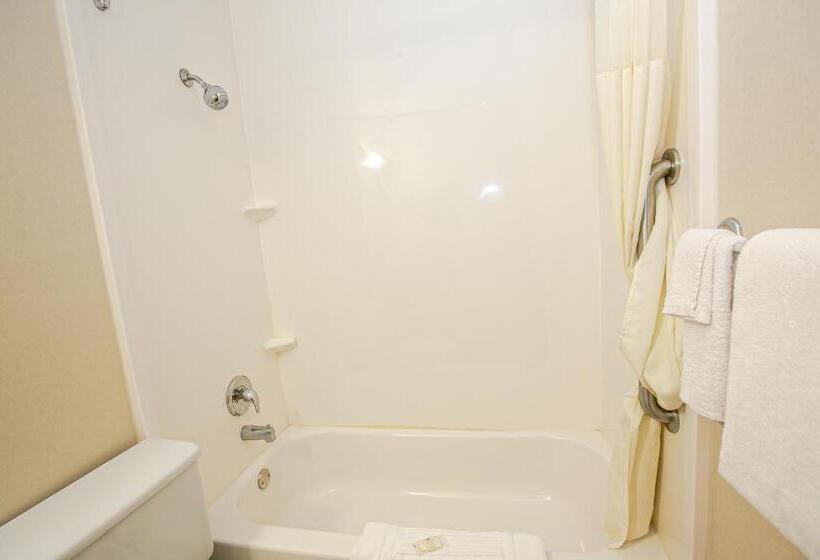 Номер Стандарт Кровать Кинг Адаптированный для Инвалидов, Quality Inn Dayton Airport