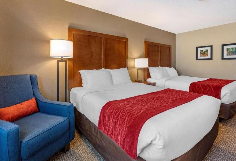 Номер Стандарт Адаптированный для Инвалидов, Comfort Inn La Porte