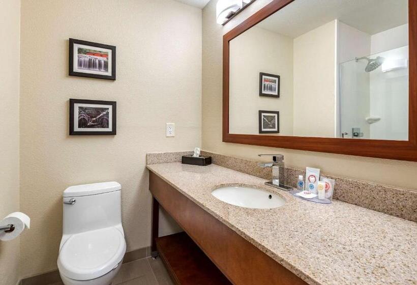 Стандартный Номер Кровать Кинг, Comfort Inn La Porte