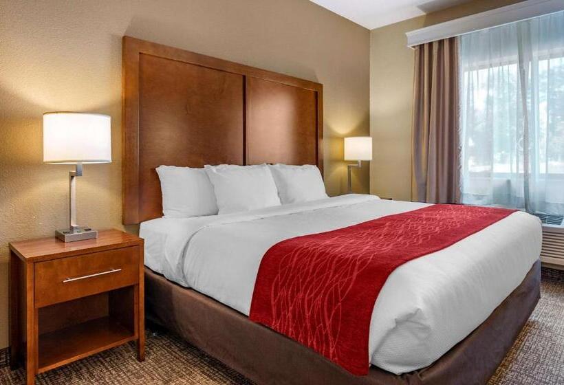 Стандартный Номер Кровать Кинг, Comfort Inn La Porte