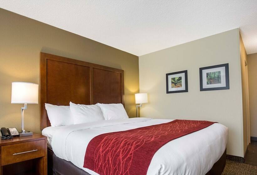 Люкс Адаптированный для Инвалидов, Comfort Inn La Porte