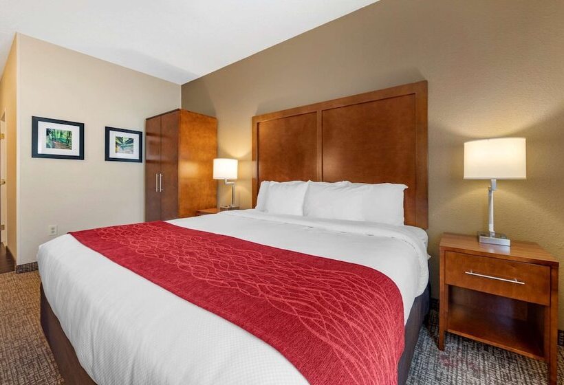 Люкс Адаптированный для Инвалидов, Comfort Inn La Porte