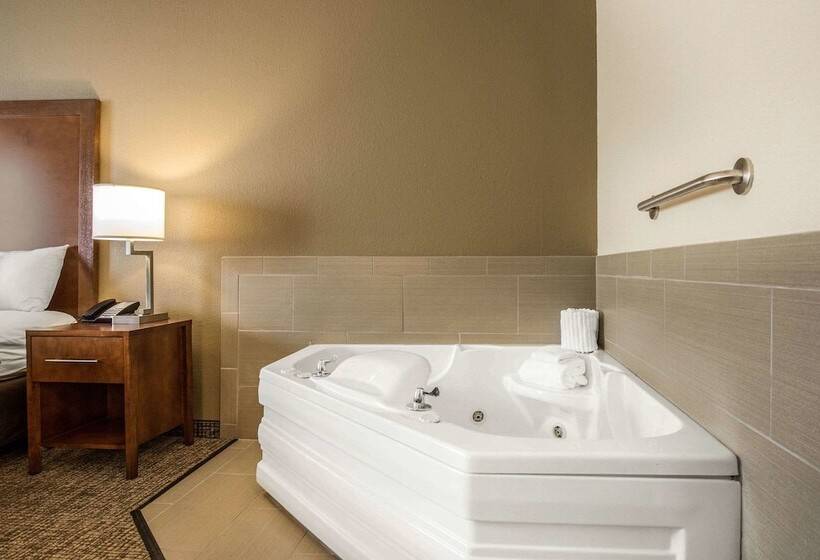 Люкс, Comfort Inn La Porte