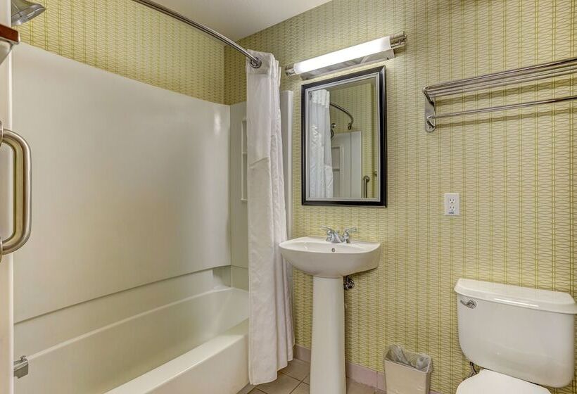 Номер Стандарт, Holiday Inn Express Hotel & Suites Montrose   Black Canyon Area, An Ihg
