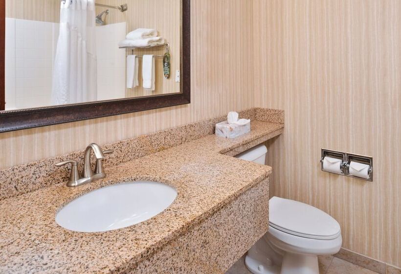 Номер Стандарт, Holiday Inn Express Hotel & Suites Portland   Jantzen Beach, An Ihg