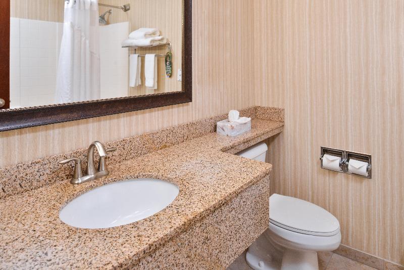 Стандартный Номер Кровать Кинг, Holiday Inn Express Hotel & Suites Portland   Jantzen Beach, An Ihg