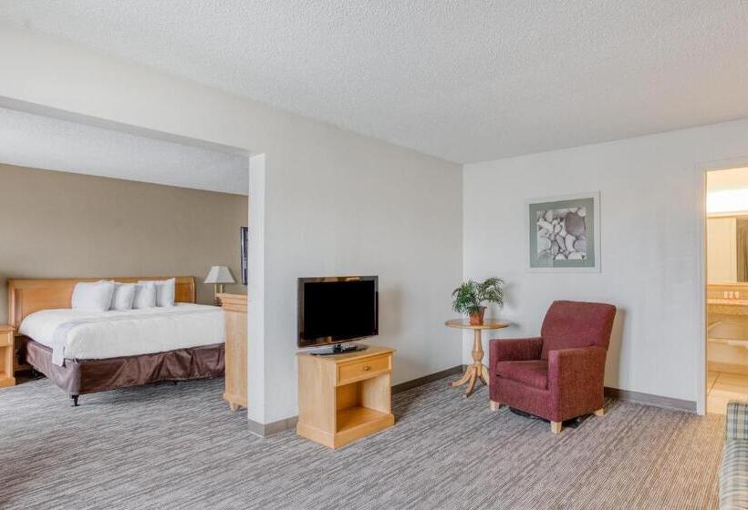اتاق استاندارد با تخت بزرگ برای معلولان, Quality Inn
