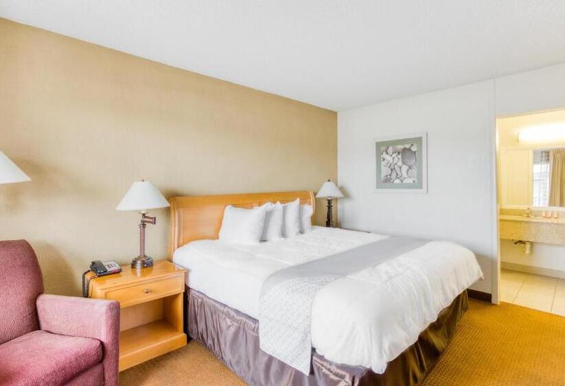 اتاق استاندارد با تخت بزرگ, Quality Inn