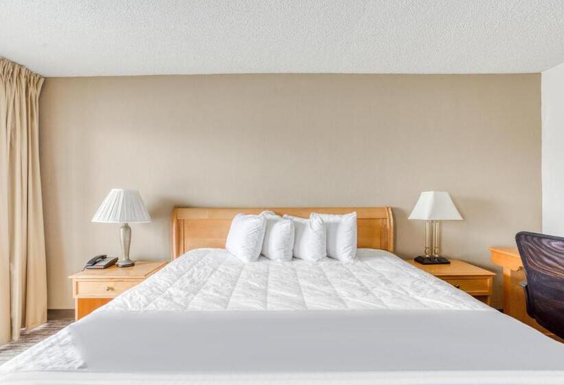 اتاق استاندارد با تخت بزرگ برای معلولان, Quality Inn