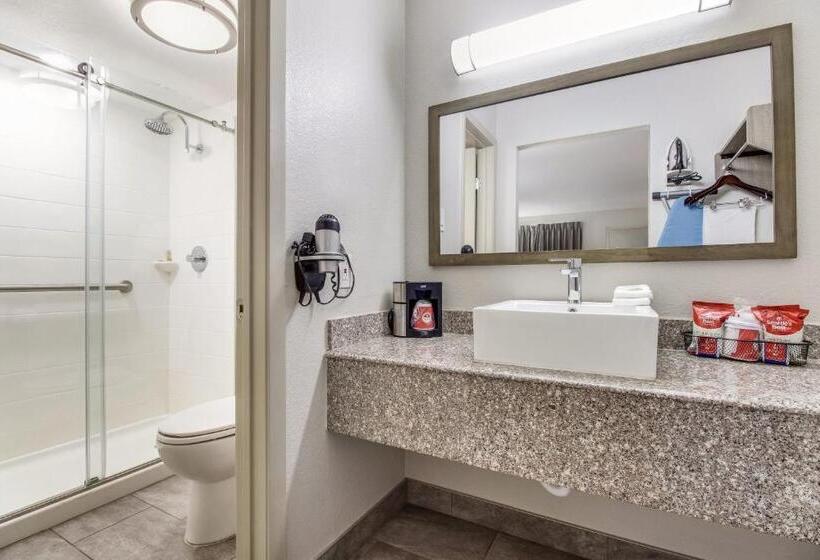 Номер Superior Кровать Кинг, Red Roof Inn Plus+ Dallas   Addison