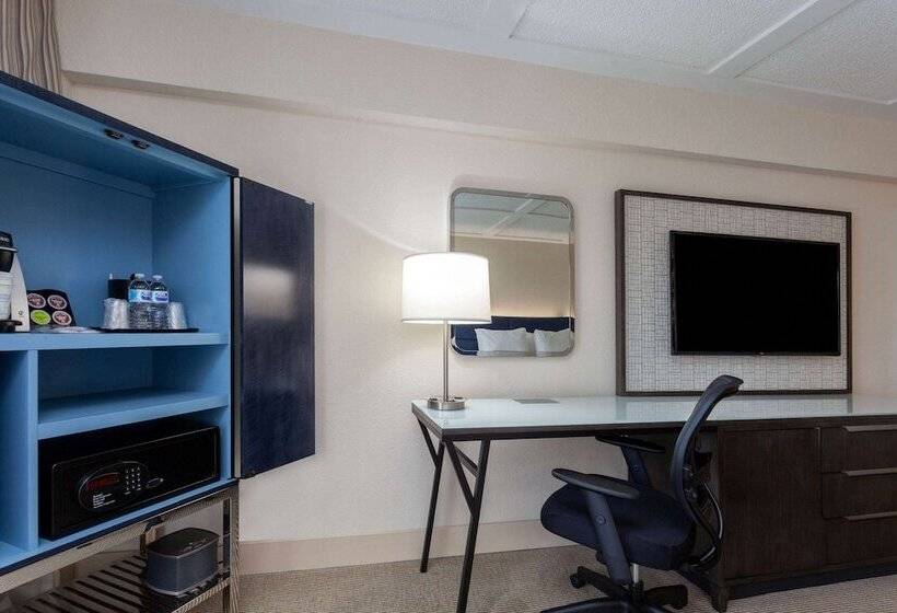 חדר סטנדרט שתי מיטות זוגיות, Wyndham Boca Raton