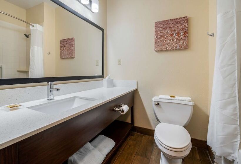 Номер Стандарт, Best Western Plus Warsaw
