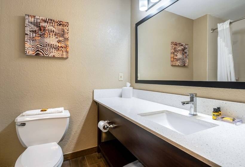 Номер Стандарт 2 Двуспальные Кровати, Best Western Plus Warsaw