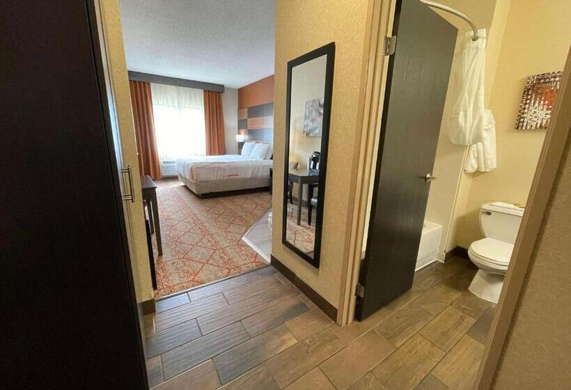 Стандартный Номер Кровать Кинг, Best Western Plus Warsaw
