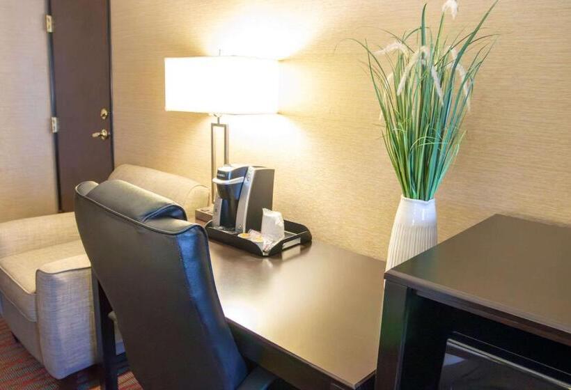 Quarto Estandar Cama King, Country Inn & Suites By Radisson, Garden City, Ks