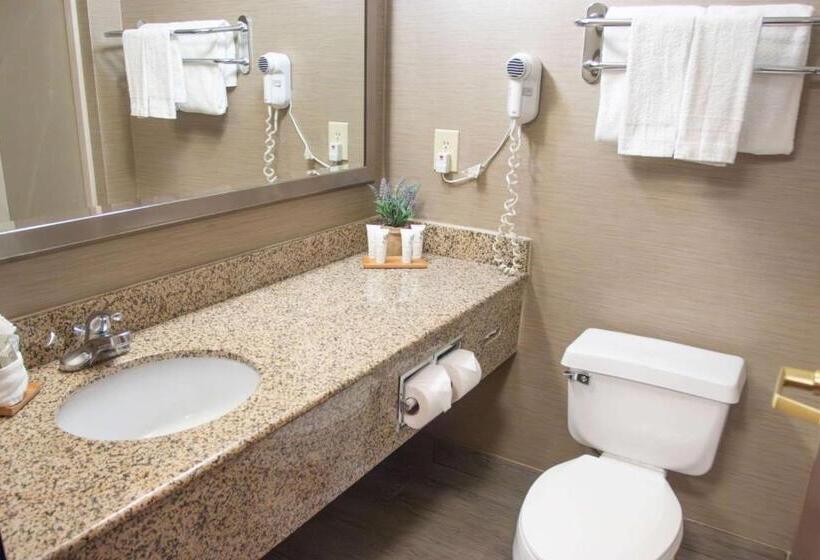 Номер Стандарт Кровать Кинг Адаптированный для Инвалидов, Country Inn & Suites By Radisson, Garden City, Ks