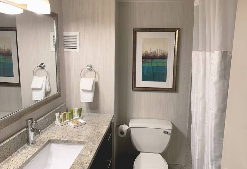 Номер Executive, Hilton New York Jfk Airport