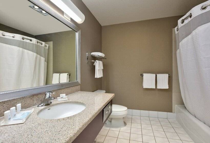 Номер Стандарт, Holiday Inn & Suites Santa Maria, An Ihg