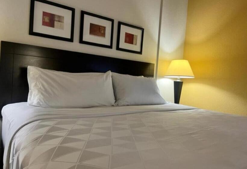 Стандартный Номер Кровать Кинг, Holiday Inn Hotel & Suites Springfield, An Ihg