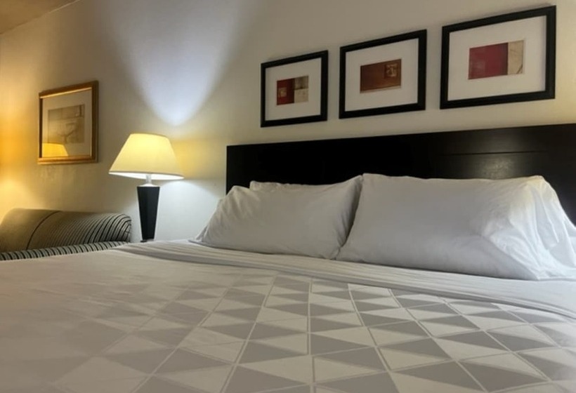Люкс Адаптированный для Инвалидов, Holiday Inn Hotel & Suites Springfield, An Ihg