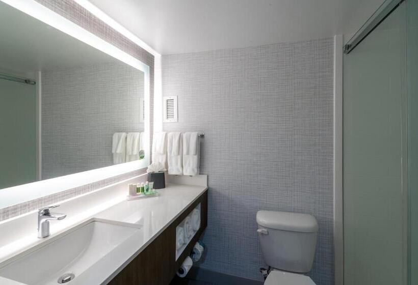 이그제큐티브 룸 킹사이즈 침대, Holiday Inn Huntsville   Research Park, An Ihg