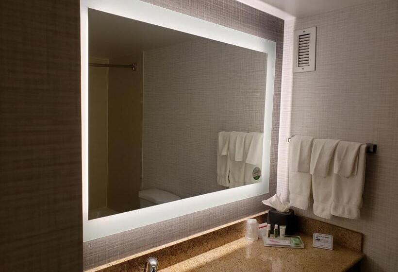 이그제큐티브 룸 킹사이즈 침대, Holiday Inn Huntsville   Research Park, An Ihg