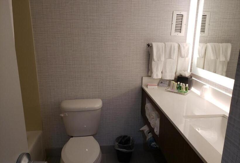 장애인을 위한 킹사이즈 침대 스탠다드 룸, Holiday Inn Huntsville   Research Park, An Ihg