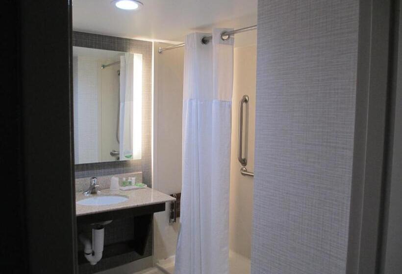 장애인을 위한 킹사이즈 침대 스탠다드 룸, Holiday Inn Huntsville   Research Park, An Ihg