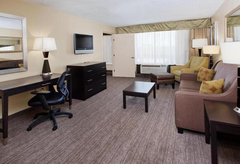 장애인을 위한 킹사이즈 침대 스탠다드 룸, Holiday Inn Shreveport Downtown, An Ihg