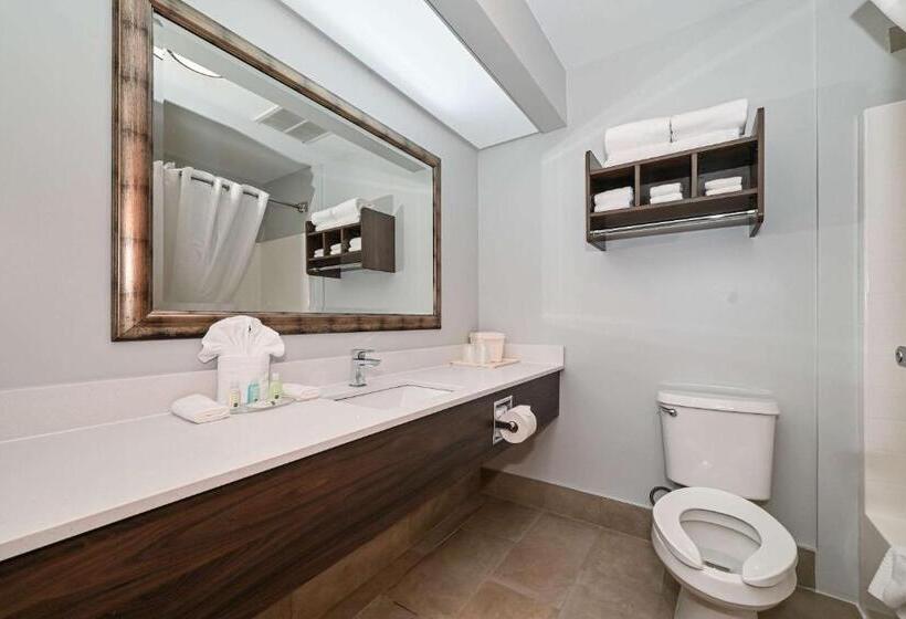 Номер Стандарт 2 Двуспальные Кровати, Quality Inn & Suites Matthews   Charlotte
