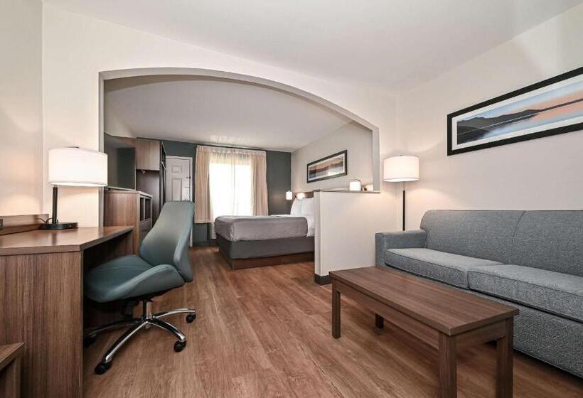 Люкс Кровать Кинг, Quality Inn & Suites Matthews   Charlotte