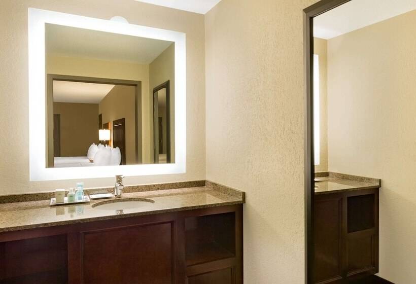 Номер Deluxe, Wyndham New Orleans  French Quarter