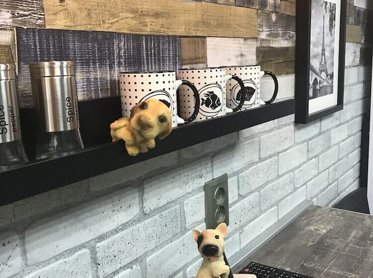 基本间, Horoshy Hostel