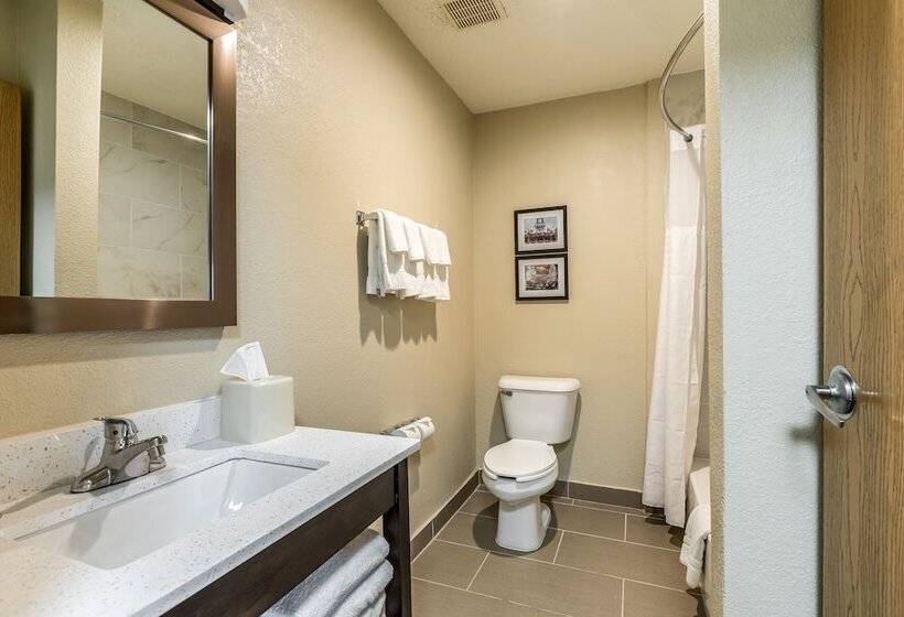스탠다드 룸 더블 침대 2개, Comfort Inn Downtown