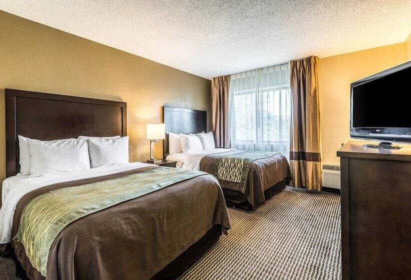 스탠다드 룸 더블 침대 2개, Comfort Inn Downtown