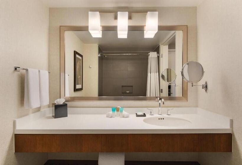 اتاق استاندارد با تخت بزرگ برای معلولان, Hyatt Regency Wichita