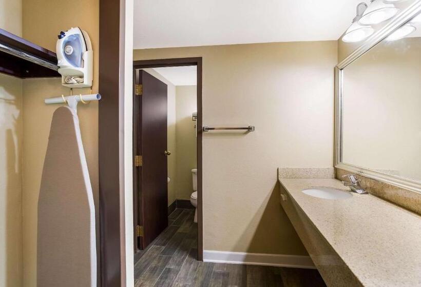 带大床的套房, Quality Suites Milwaukee Airport