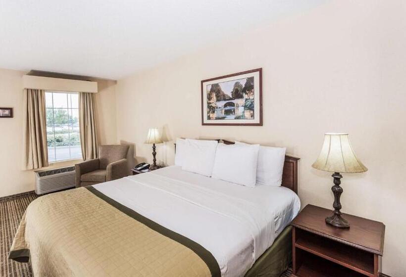适合残疾人士使用的带超级大床的标准间, Baymont By Wyndham Valdosta At Valdosta Mall
