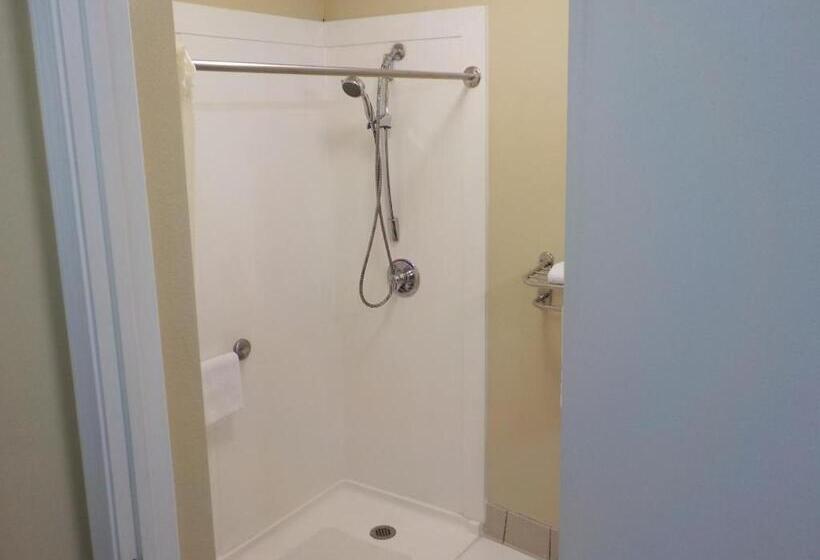Номер Стандарт Кровать Кинг Адаптированный для Инвалидов, Surestay Hotel By Best Western Tuscaloosa Southeast