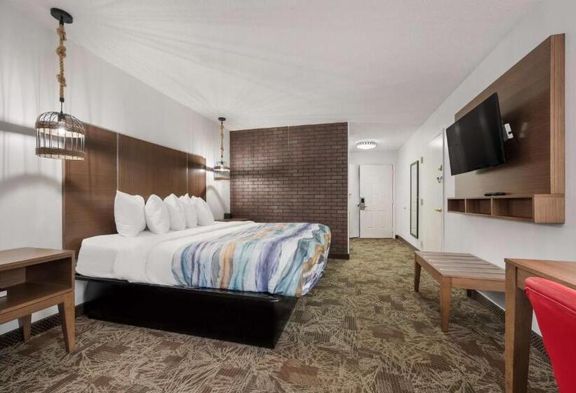 Номер Стандарт Кровать Кинг Адаптированный для Инвалидов, Surestay Hotel By Best Western Tuscaloosa Southeast