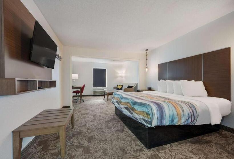 Стандартный Номер Кровать Кинг, Surestay Hotel By Best Western Tuscaloosa Southeast