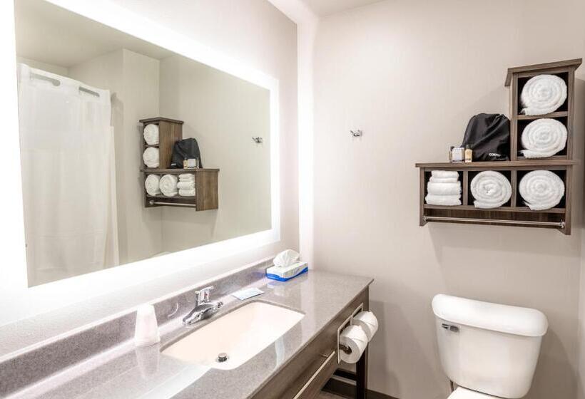 اتاق استاندارد با تخت بزرگ, My Place Hotel Watertown, Sd