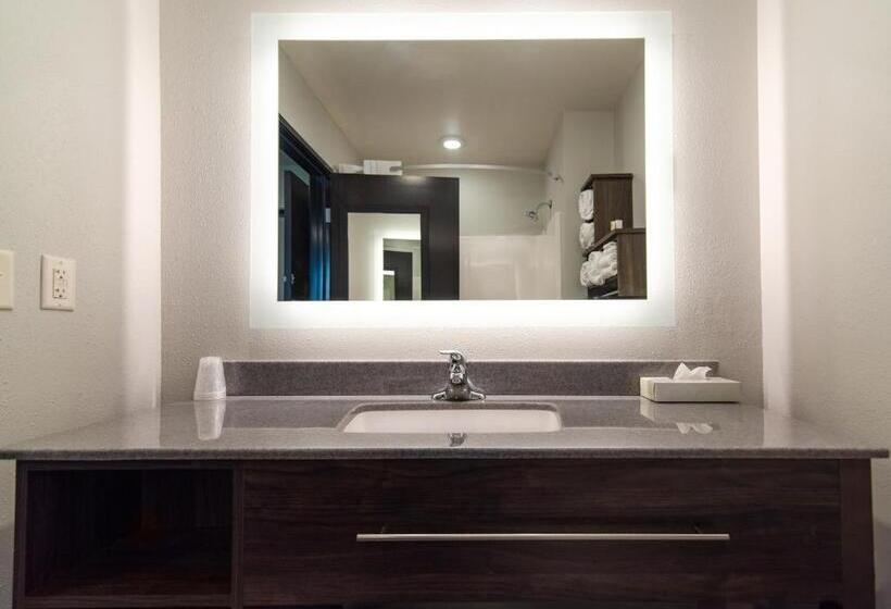 اتاق استاندارد با تخت بزرگ برای معلولان, My Place Hotel Watertown, Sd