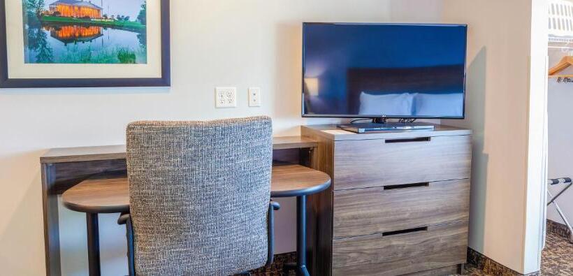 اتاق استاندارد با تخت بزرگ برای معلولان, My Place Hotel Watertown, Sd