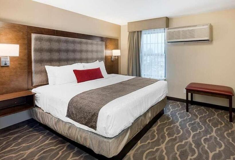 Номер Стандарт Кровать Кинг Адаптированный для Инвалидов, Country Inn & Suites By Radisson, Grandvillegrand Rapids West, Mi