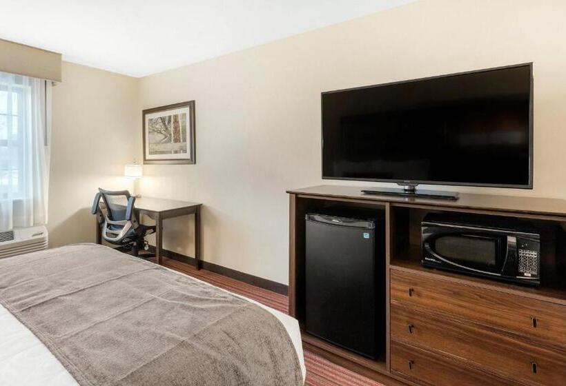 Номер Стандарт, Country Inn & Suites By Radisson, Grandvillegrand Rapids West, Mi