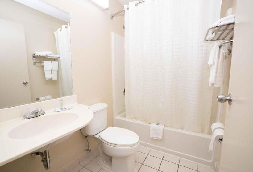 스탠다드 룸, Regency Inn & Suites Dfw