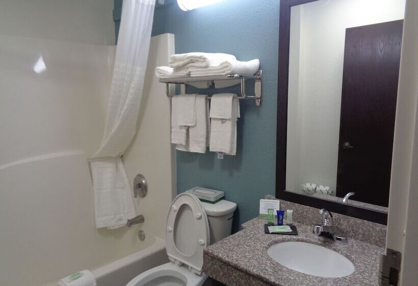 스위트, Sleep Inn & Suites Tallahasseecapitol