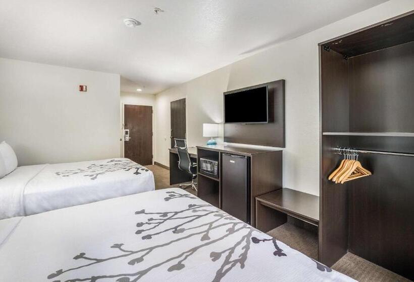 장애인을 위한 스탠다드 룸, Sleep Inn & Suites Tallahasseecapitol