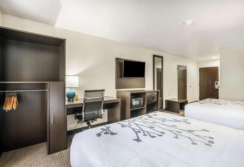 장애인을 위한 스탠다드 룸, Sleep Inn & Suites Tallahasseecapitol